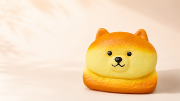 Shiba Inu Toast Squishy: 50g Feel, Care & Morning Toasts Guide