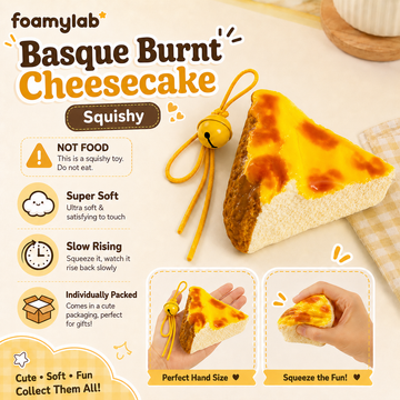 Basque Burnt Cheesecake Squishy
