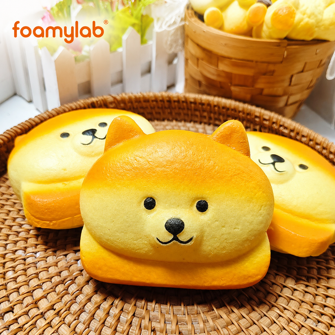 Blandito Tostada Shiba Inu